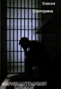 Обложка книги "Скоропалительные выводы "