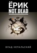Обложка книги "Ёрик Not Dead"