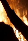 Обложка книги "Ненормальные."