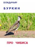 Обложка книги "Про чибиса"
