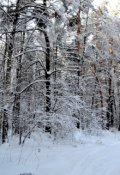 Обложка книги "Люди - враги деревьев"