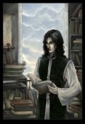 Обложка книги "Сокровище дома Фержингардов"