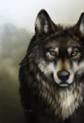 Обложка книги "Смех богов."