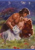 Обложка книги "Безудержный фонтан."