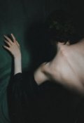 Обложка книги "Третья палата от Солнца"