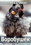 Обложка книги "Воробушек"