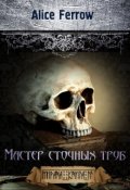 Обложка книги "Мастер сточных труб"