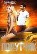 Обложка книги "Попутчик"