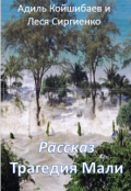 Обложка книги "Испытание Мали"