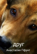 Обложка книги "Друг"