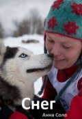 Обложка книги "Снег"