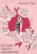 Обложка книги "История одного знакомства"