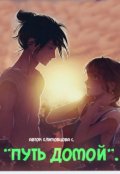 Обложка книги "Путь домой."
