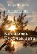 Обложка книги "Конаково. Кусочек лета"