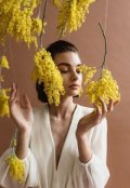Обложка книги "Желтый цвет - к счастью!"