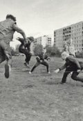 Обложка книги "Двор"
