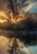 Обложка книги "Зеркальный эффект "