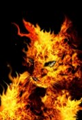 Обложка книги "Рождённая Фениксом"