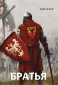 Обложка книги "Братья"
