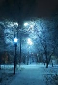 Обложка книги "Пластиковые воспоминания"