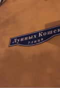 Обложка книги "Улица Лунных Кошек"