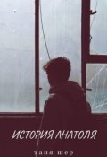 Обложка книги "История Анатоля"