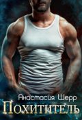 Обложка книги "Похититель"