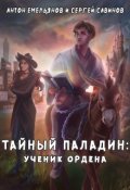 Обложка книги "Тайный паладин"