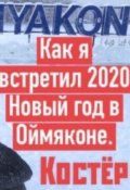 Обложка книги "Как я встретил Новый 2020 Новый год в Оймяконе!"