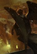Обложка книги "Ангел смерти"