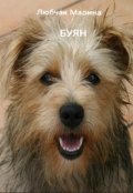 Обложка книги "Буян"