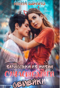 Обложка книги "Зарисовки из жизни сумасшедшей семейки"