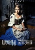 Обложка книги "Цвета жизни"