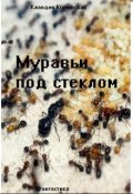Обложка книги "Муравьи под стеклом"