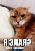 Обложка книги "25 причин моей злости"