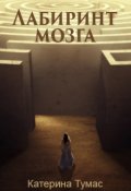 Обложка книги "Лабиринт мозга"