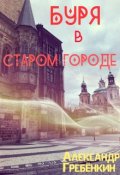 Обложка книги "Буря в старом городе "