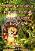 Обложка книги "Удивительные приключения маленького Ёжика"