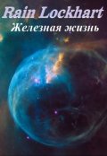 Обложка книги "Железная жизнь - прототип"