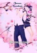 Обложка книги "Встреча!"