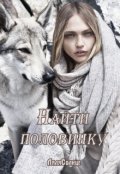 Обложка книги "Найти половинку"