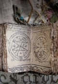 Обложка книги "Посвящённый и Маг. Битва за Человечество"