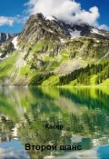 Обложка книги "Второй шанс."