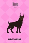 Обложка книги "Цирцея"