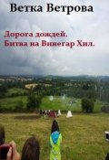 Обложка книги "Дорога дождей. Битва на Винегар Хилл."