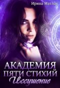 Обложка книги "Академия пяти стихий. Иссушение"