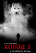 Обложка книги "Холод. Сага. Часть 3. В созвездии Волка"