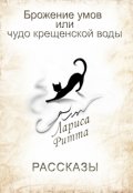 Обложка книги "Брожение умов или чудо крещенской воды."