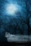 Обложка книги "Легенда тьмы.Наследница"