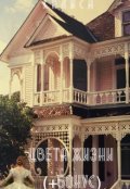 Обложка книги "Цвета Жизни+ Бонус"